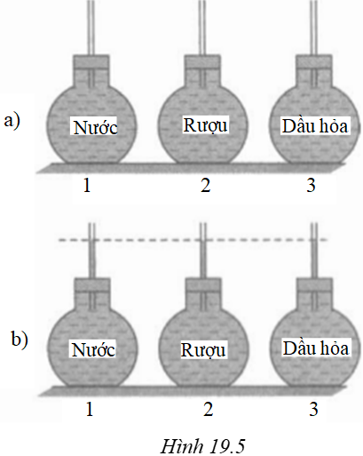 Giải sách bài tập Vật Lí lớp 6 hay nhất, chi tiết