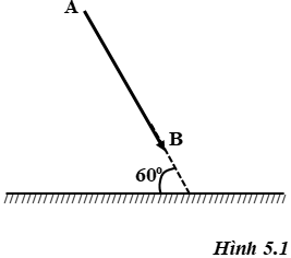 Giải sách bài tập Vật Lí lớp 7 hay nhất, chi tiết