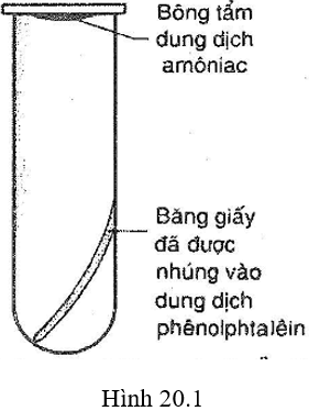 Giải Sách bài tập Vật Lí lớp 8 hay nhất, chi tiết