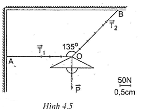 Giải Sách bài tập Vật Lí lớp 8 hay nhất, chi tiết