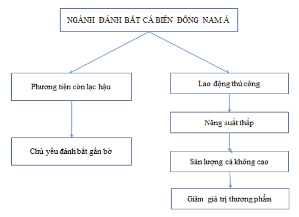 Giải tập bản đồ và bản đồ thực hành Địa Lí 11