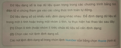 Tin học 7 VNEN Bài 11: Định dạng dữ liệu số trong bảng tính | Hay nhất Giải bài tập Tin học 7 VNEN