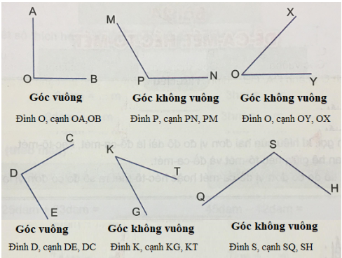 Toán lớp 3 Bài 23 sách mới (Kết nối tri thức)