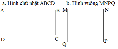 Toán lớp 3 Bài 47 sách mới (Kết nối tri thức)