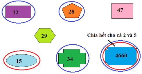 Toán lớp 4 Bài 54 Kết nối tri thức, Chân trời sáng tạo, Cánh diều