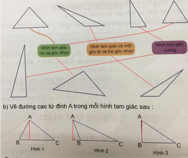 Giải Toán 5 VNEN Bài 55: Hình tam giác