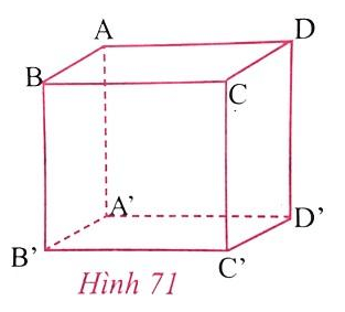 Giải Toán 8 VNEN Bài 1: Hình hộp chữ nhật | Giải bài tập Toán 8 VNEN hay nhất