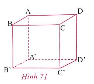 Giải Toán 8 VNEN Bài 1: Hình hộp chữ nhật | Giải bài tập Toán 8 VNEN hay nhất