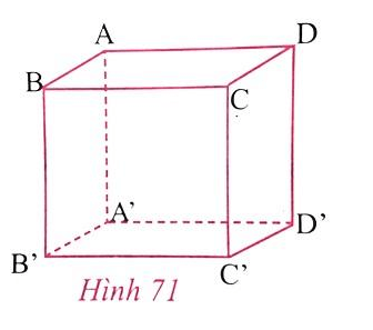 Giải Toán 8 VNEN Bài 1: Hình hộp chữ nhật | Giải bài tập Toán 8 VNEN hay nhất