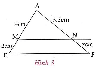 Giải Toán 8 VNEN Bài 1: Tỉ số của hai đoạn thẳng. Định lí Ta-lét trong tam giác | Giải bài tập Toán 8 VNEN hay nhất