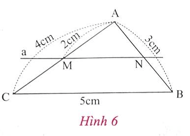 Giải Toán 8 VNEN Bài 1: Tỉ số của hai đoạn thẳng. Định lí Ta-lét trong tam giác | Giải bài tập Toán 8 VNEN hay nhất