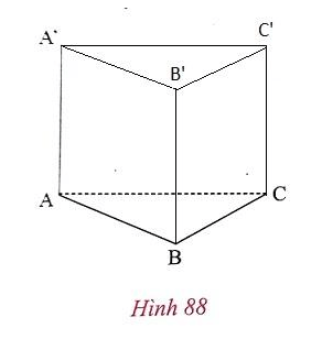 Giải Toán 8 VNEN Bài 3: Hình lăng trụ đứng. Diện tích xung quanh của hình lăng trụ đứng. | Giải bài tập Toán 8 VNEN hay nhất