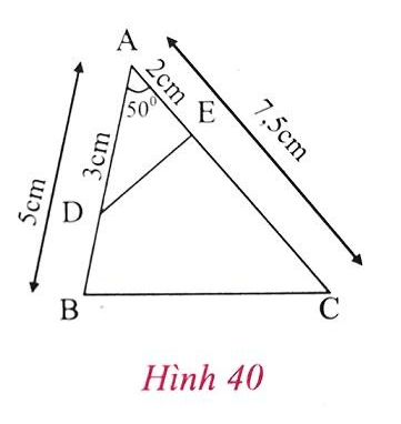 Giải Toán 8 VNEN Bài 6: Trường hợp đồng dạng thứ hai | Giải bài tập Toán 8 VNEN hay nhất