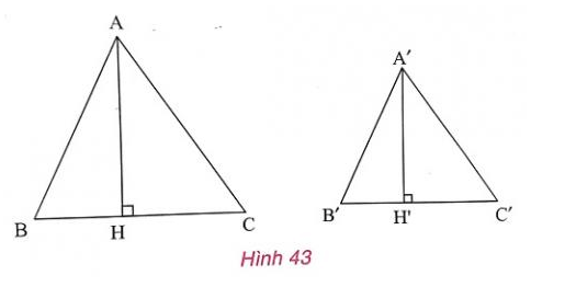 Giải Toán 8 VNEN Bài 7: Trường hợp đồng dạng thứ ba | Giải bài tập Toán 8 VNEN hay nhất