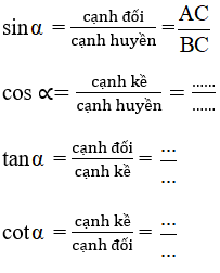 Giải Toán 9 VNEN Bài 3: Tỉ số lượng giác của góc nhọn | Hay nhất Giải bài tập Toán 9