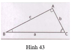 Giải Toán 9 VNEN Bài 5: Một số hệ thức về cạnh và góc trong tam giác vuông | Hay nhất Giải bài tập Toán 9