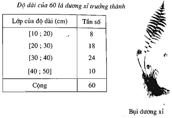 Giải bài 2 trang 114 SGK Đại Số 10 | Giải toán lớp 10