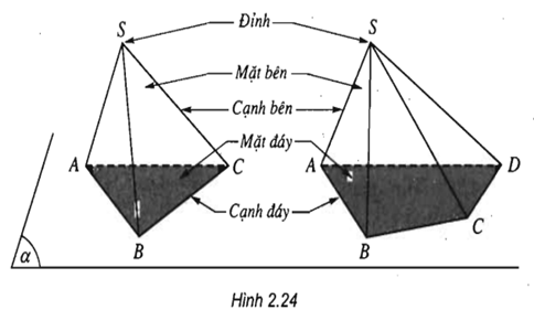 Giải bài tập Toán 11 | Giải Toán lớp 11