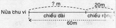 Tính chiều dài hình chữ nhật, biết nửa chu vi hình chữ nhật là 6om và chiều rộng của 20cm | Để học tốt Toán 3