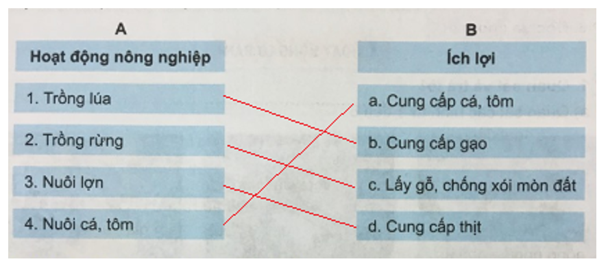 Tự nhiên và xã hội 3 Bài 13: Hoạt động nông nghiệp | Hay nhất Giải bài tập Tự nhiên và xã hội 3 VNEN