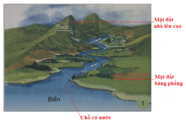 Tự nhiên và xã hội 3 Bài 29: Bề mặt lục địa | Hay nhất Giải bài tập Tự nhiên và xã hội 3 VNEN