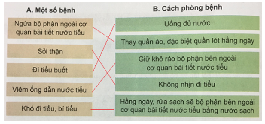 Tự nhiên và xã hội 3 Bài 5: Cơ quan bài tiết nước tiểu | Hay nhất Giải bài tập Tự nhiên và xã hội 3 VNEN