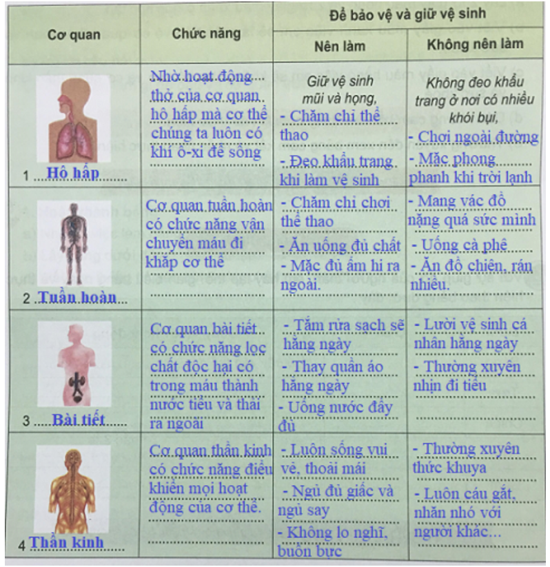 Tự nhiên và xã hội 3 Phiếu kiểm tra 1: Chúng em đã học được những gì từ chủ đề con người và sức khỏe? | Hay nhất Giải bài tập Tự nhiên và xã hội 3 VNEN