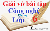 Giải vở bài tập Công nghệ 6 | Giải VBT Công nghệ lớp 6