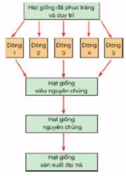 Giải vở bài tập Công nghệ 7 | Giải VBT Công nghệ 7