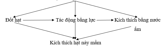 Giải vở bài tập Công nghệ 7 | Giải VBT Công nghệ 7