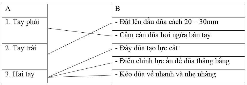 Giải vở bài tập Công nghệ 6 | Giải VBT Công nghệ 6