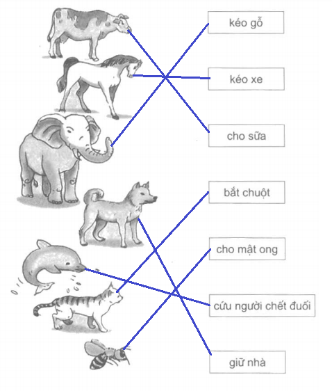 Vở bài tập Đạo Đức lớp 2 Bài 14: Bảo vệ loài vật có ích | Hay nhất Giải VBT Đạo Đức 2