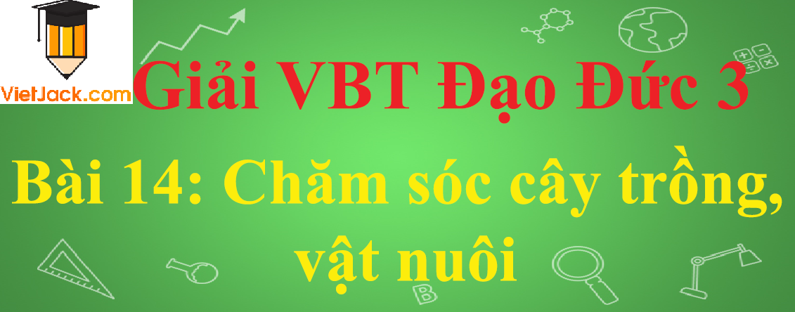 Vở bài tập Đạo Đức lớp 3 Bài 14: Chăm sóc cây trồng, vật nuôi