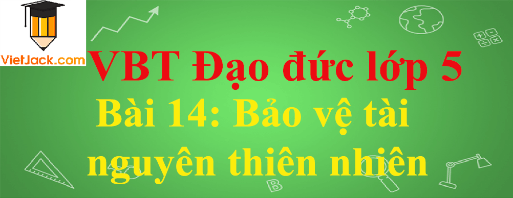 Vở bài tập Đạo Đức lớp 5 Bài 14: Bảo vệ tài nguyên thiên nhiên