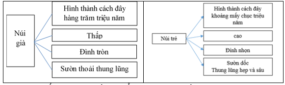 Giải VBT Địa Lí 6 Bài 13: Địa hình bề mặt Trái Đất | Giải vở bài tập Địa Lí 6