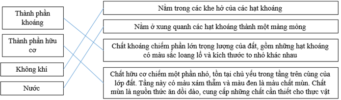 Giải VBT Địa Lí 6 Bài 26: Đất. Các nhân tố hình thành đất | Giải vở bài tập Địa Lí 6