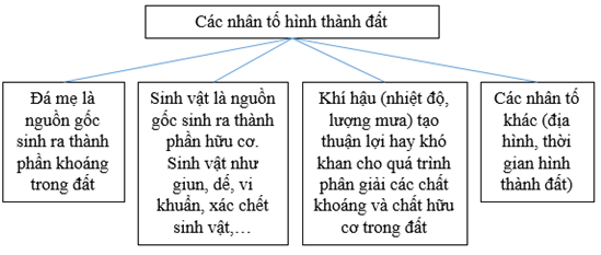 Giải VBT Địa Lí 6 Bài 26: Đất. Các nhân tố hình thành đất | Giải vở bài tập Địa Lí 6