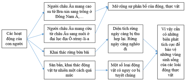 Giải VBT Địa Lí 6 Bài 27: Lớp vỏ sinh vật. Các nhân tố ảnh hưởng đến sự phân bố thực, động vật trên Trái Đất | Giải vở bài tập Địa Lí 6