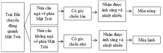 Giải VBT Địa Lí 6 Bài 8: Sự chuyển động của Trái Đất quanh Mặt Trời | Giải vở bài tập Địa Lí 6