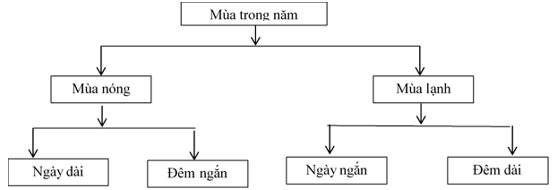 Giải VBT Địa Lí 6 Bài 9: Hiện tượng ngày, đêm dài ngắn theo mùa | Giải vở bài tập Địa Lí 6