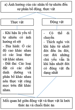 Giải VBT Địa Lí 6 Bài tập Ôn tập chương 2 | Giải vở bài tập Địa Lí 6