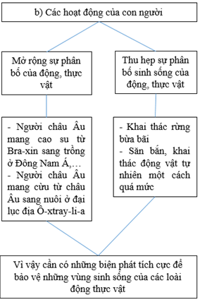 Giải VBT Địa Lí 6 Bài tập Ôn tập chương 2 | Giải vở bài tập Địa Lí 6