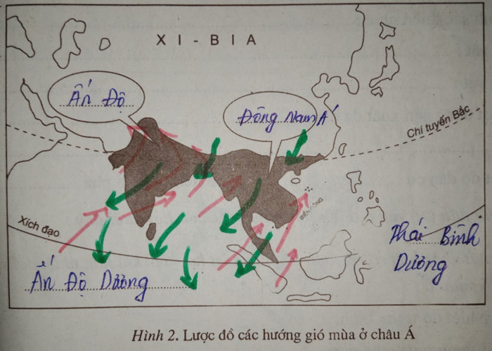 Giải vở bài tập Địa Lí 7 | Giải VBT Địa Lí 7