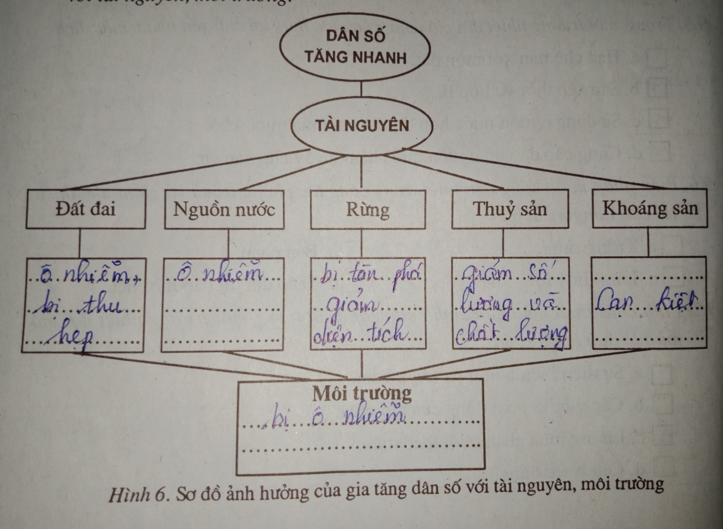 Giải vở bài tập Địa Lí 7 | Giải VBT Địa Lí 7