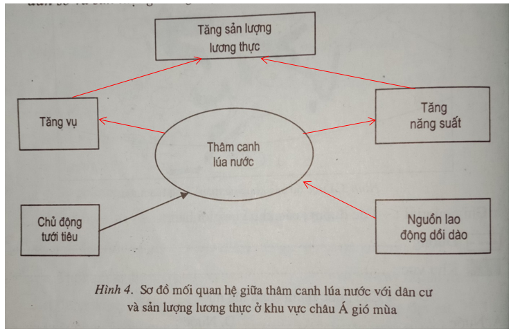 Giải vở bài tập Địa Lí 7 | Giải VBT Địa Lí 7