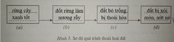 Giải vở bài tập Địa Lí 7 | Giải VBT Địa Lí 7