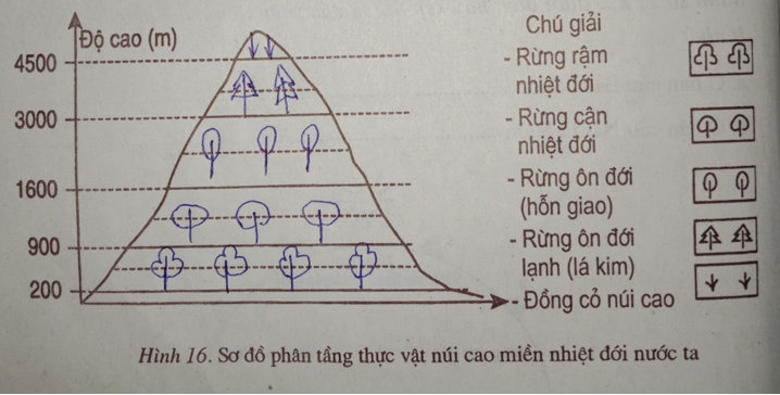 Giải vở bài tập Địa Lí 7 | Giải VBT Địa Lí 7