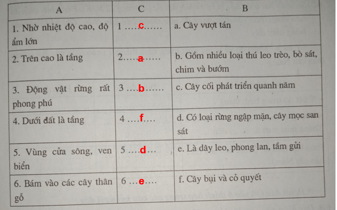 Giải vở bài tập Địa Lí 7 | Giải VBT Địa Lí 7