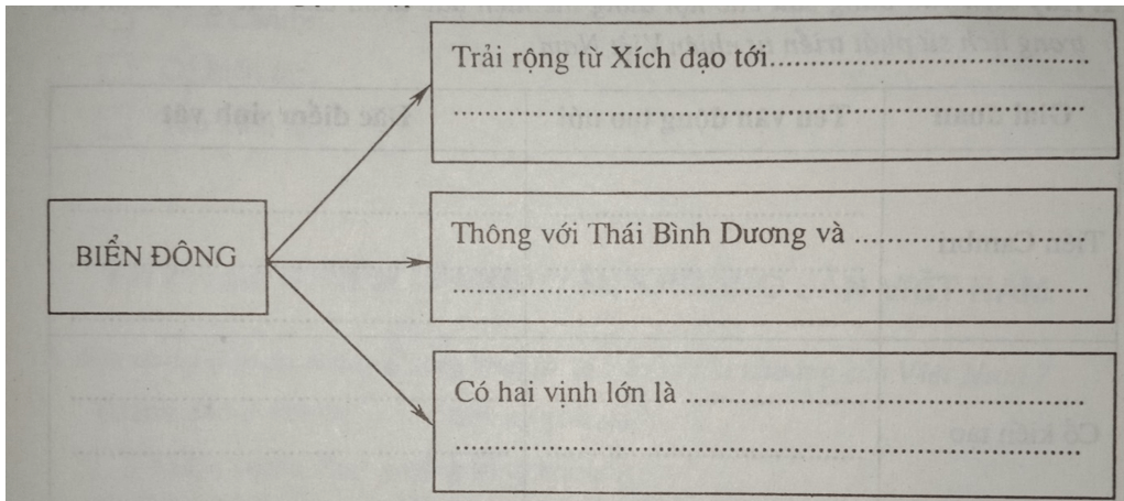 Giải vở bài tập Địa Lí 8 | Giải VBT Địa Lí 8