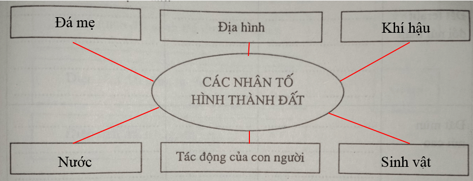 Giải vở bài tập Địa Lí 8 | Giải VBT Địa Lí 8